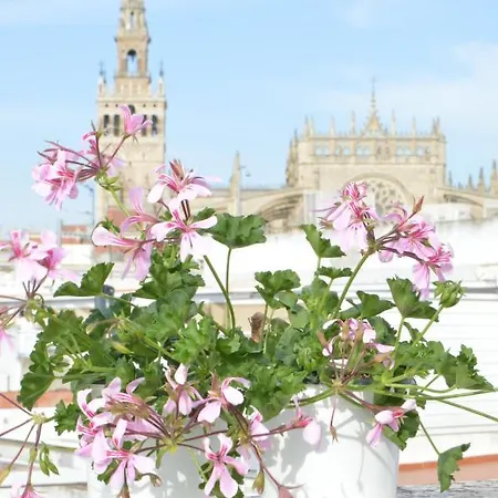 Appartement Homeyseville-amazing Penthouse Giralda Views 8 Pax, Parking Optional *